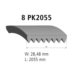 PSV/95/101