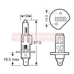 PSV/09/005-H1 Headlight Bulb 24V 70W, P14.5s-PSV Transport Systems Bus and Coach Parts